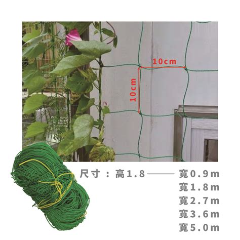 攀藤網|農作物栽培網 (4尺8)爬藤網